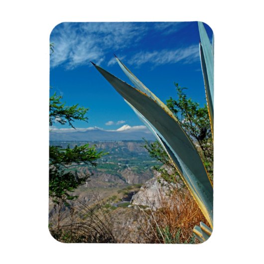 Vulkan Cotopaxi, Ecuador Magnet (Vertikal)