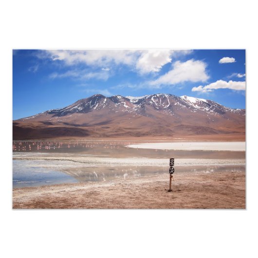 Vulkan in einem Altiplano Landschaft Foto drucken (Vorne)