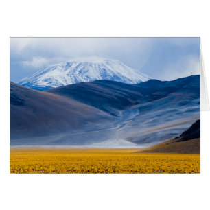 Vulkan Incahuasi, Argentinien