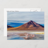 Vulkan und Flamingos Postkarte (Vorne/Hinten)