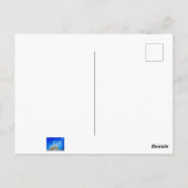 Vulkanausbruch Postkarte (Rückseite)