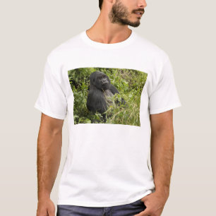 Vulkane Nationalpark, Berggorilla T-Shirt