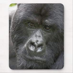 Vulkane NP, Ruanda, Berggorillas, Mousepad