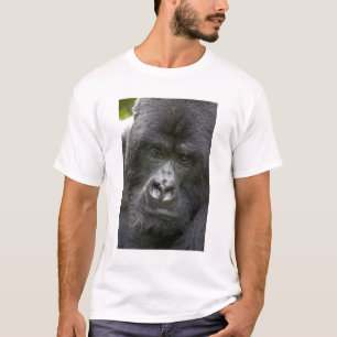 Vulkane NP, Ruanda, Berggorillas, T-Shirt