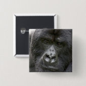 Vulkane NP, Ruanda, Mountain Gorillas, Button (Vorne & Hinten)