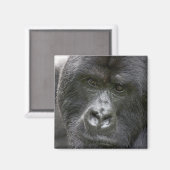 Vulkane NP, Ruanda, Mountain Gorillas, Magnet (Vorderseite/Rückseite)