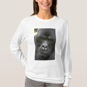Vulkane NP, Ruanda, Mountain Gorillas, T-Shirt