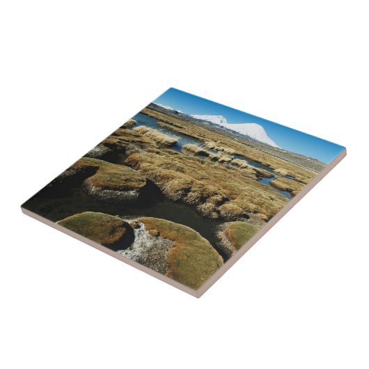 Vulkane Payachalas Fliese (Seite)