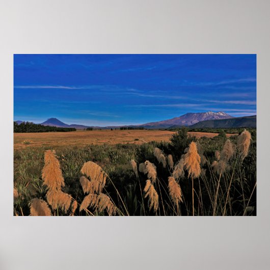 Vulkane von Tongariro Poster (Vorne)