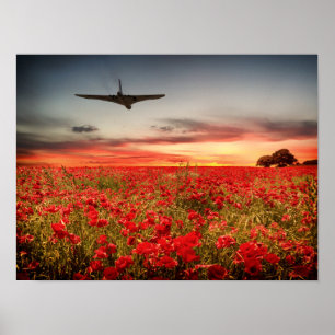 Vulkanischer Endflug Poster