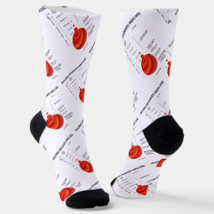Vulkanischer Explosivitätsindex (VEI) Geologie-Vul Socken