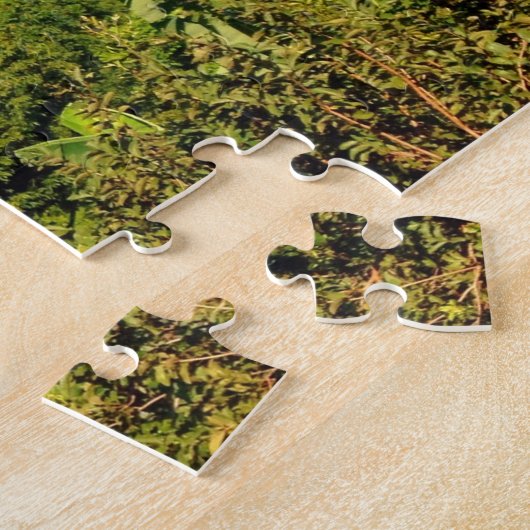 Vulkankonzeption Puzzle (Seite)