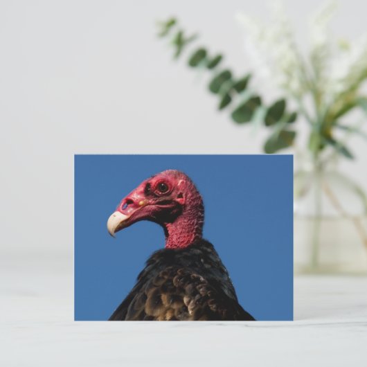 Vulkanprofil Postkarte (Stehend Vorderseite)