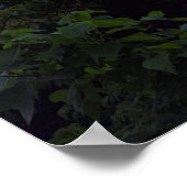 Vulkansee Atitlan Poster (Ecke)