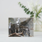 Vulkantpostkarte Postkarte (Stehend Vorderseite)