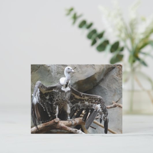 Vulkantpostkarte Postkarte (Stehend Vorderseite)