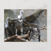 Vulkantpostkarte Postkarte (Vorderseite)