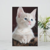 Vulnerable White Kitten Briefpapier (Stehend Vorderseite)