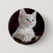 Vulnerable White Kitten Button (Vorderseite)