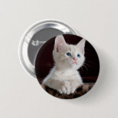 Vulnerable White Kitten Button (Vorne & Hinten)