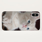 Vulnerable White Kitten Case-Mate iPhone Hülle (Rückseite (Horizontal))