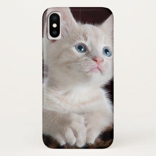 Vulnerable White Kitten Case-Mate iPhone Hülle (Rückseite)