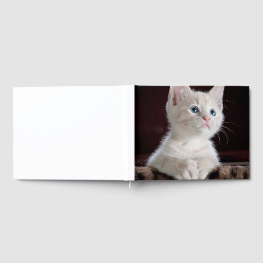 Vulnerable White Kitten Gästebuch (Voll)