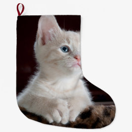 Vulnerable White Kitten Großer Weihnachtsstrumpf