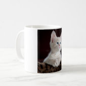 Vulnerable White Kitten Kaffeetasse (Vorderseite Links)