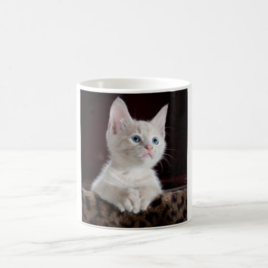 Vulnerable White Kitten Kaffeetasse (Mittel)