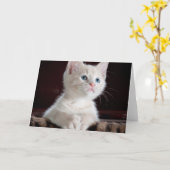 Vulnerable White Kitten Karte (Gelbe Blume)