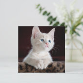 Vulnerable White Kitten Karte (Stehend Vorderseite)