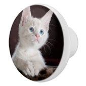 Vulnerable White Kitten Keramikknauf (Rechts)