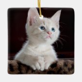 Vulnerable White Kitten Keramikornament (Vorderseite)