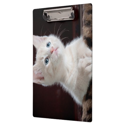 Vulnerable White Kitten Klemmbrett (Links)