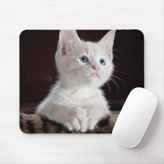 Vulnerable White Kitten Mousepad (Mit Mouse)