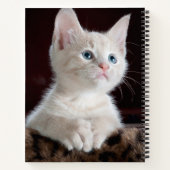 Vulnerable White Kitten Notizblock (Rückseite)