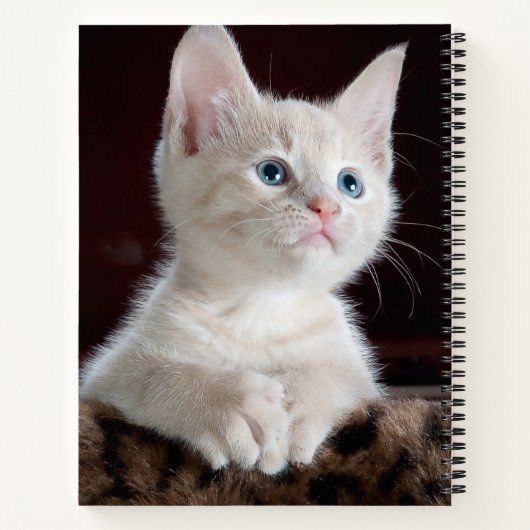 Vulnerable White Kitten Notizblock (Rückseite)