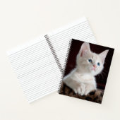 Vulnerable White Kitten Notizblock (Innenseite)