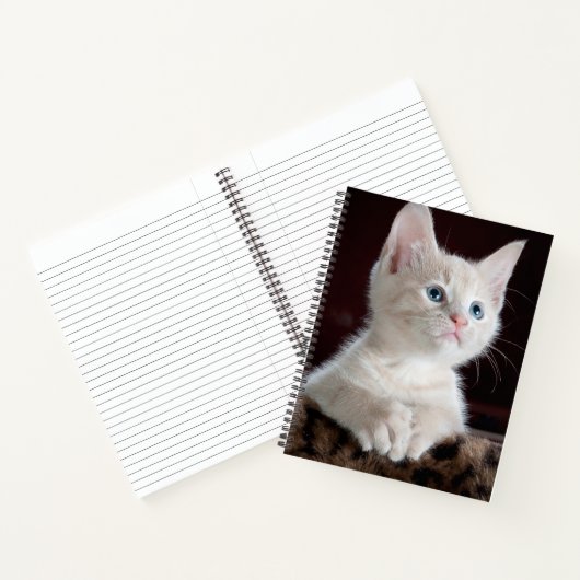 Vulnerable White Kitten Notizblock (Innenseite)