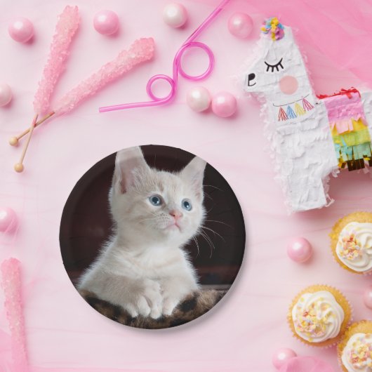 Vulnerable White Kitten Pappteller (Party)