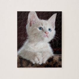 Vulnerable White Kitten Puzzle