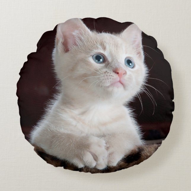 Vulnerable White Kitten Rundes Kissen (Vorderseite)