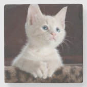 Vulnerable White Kitten Steinuntersetzer (Vorderseite)