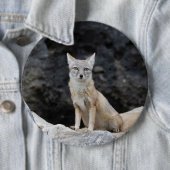 Vulpes corsac button (Beispiel)