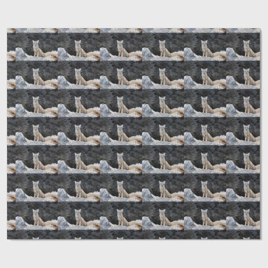 Vulpes corsac geschenkpapier (Flach)