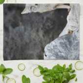 Vulpes corsac geschirrtuch (Gefaltet)