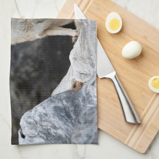 Vulpes corsac geschirrtuch (Viertel Falte)