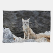 Vulpes corsac geschirrtuch (Horizontal)