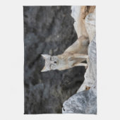 Vulpes corsac geschirrtuch (Vertikal)